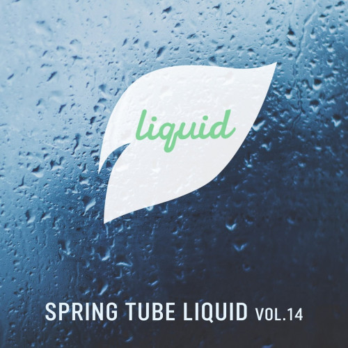 VA - Spring Tube Liquid, Vol. 14 (2022) MP3