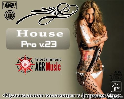 VA - House Pro V.23 (2013) MP3