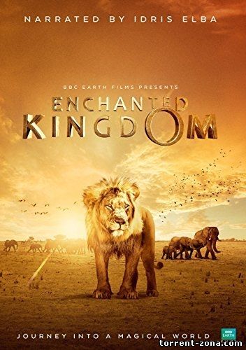 Заколдованное Королевство / Enchanted Kingdom (2013) HDRip от torrentfilm